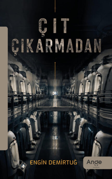 Çıt Çıkarmadan - Engin Demirtuğ